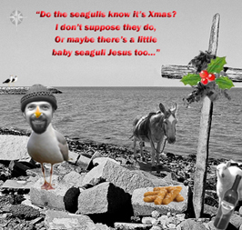 The Seagull Jesus Xmas Card